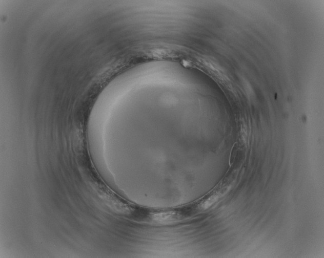 X0000076380461200610271532