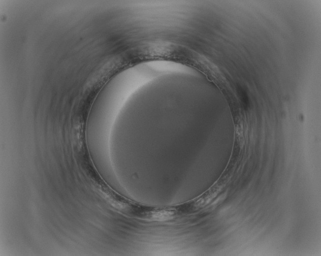 X0000076380462200610271532