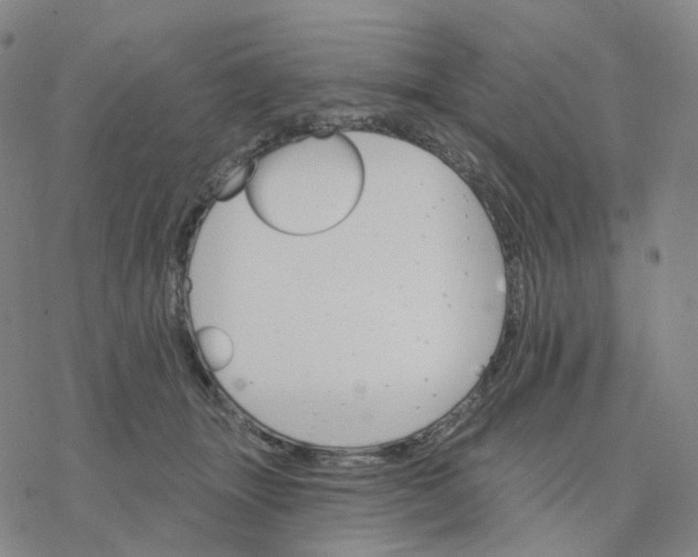 X0000076380463200610271532