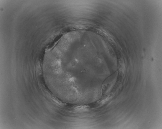 X0000076380465200610271532