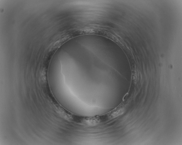 X0000076380466200610271532