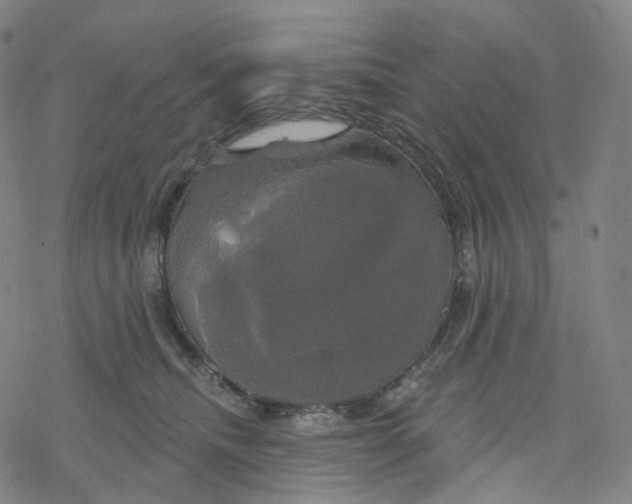 X0000076380468200610271532