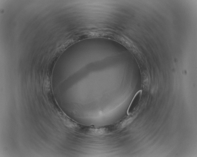 X0000076380469200610271532