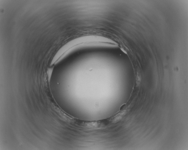 X0000076380473200610271532