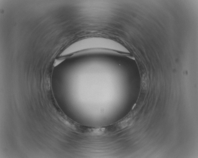 X0000076380474200610271532