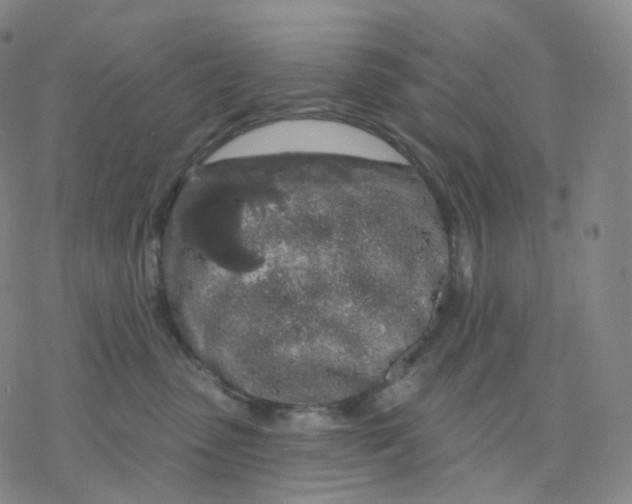 X0000076380475200610271532