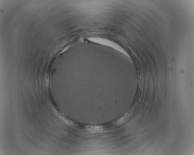 X0000076380476200610271532