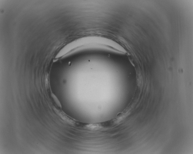 X0000076380477200610271532