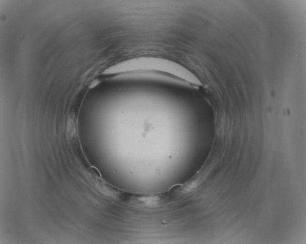 X0000076380478200610271532