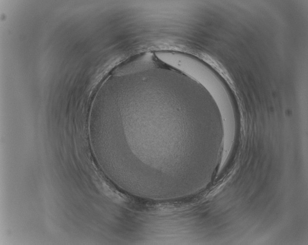 X0000076380481200610271532