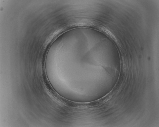 X0000076380482200610271532