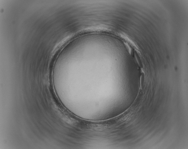 X0000076380486200610271532