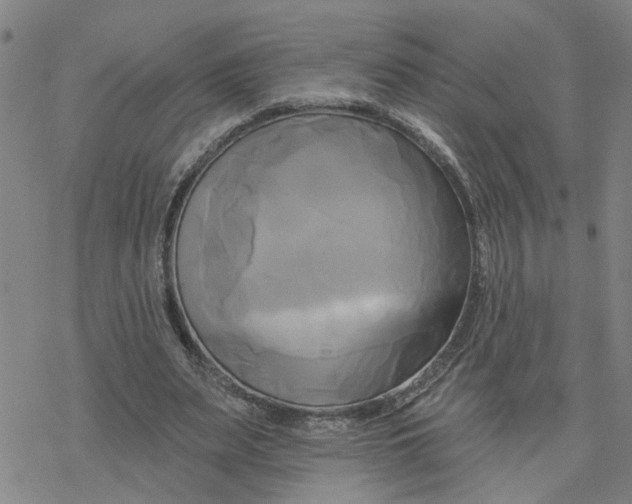 X0000076380487200610271532