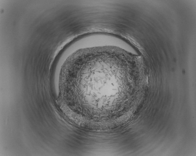 X0000076380488200610271532