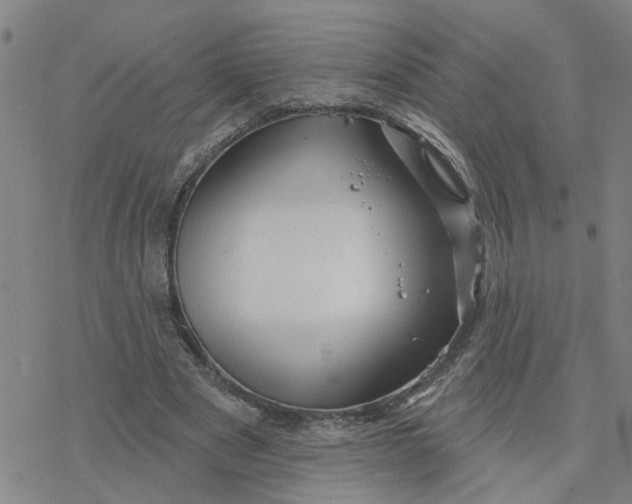 X0000076380489200610271532