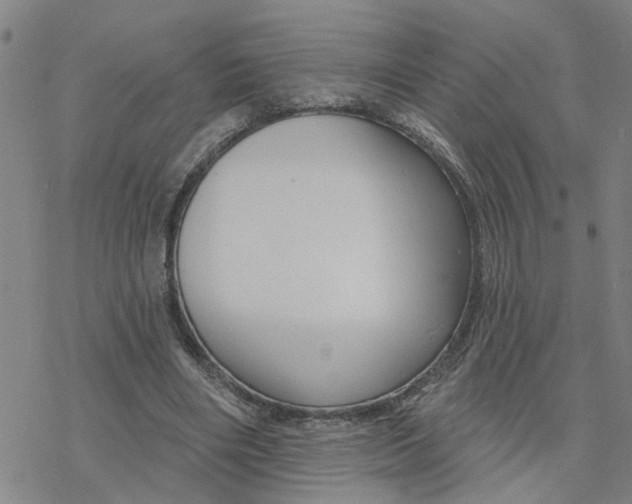 X0000076380490200610271532