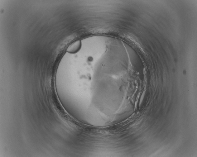 X0000076380491200610271532