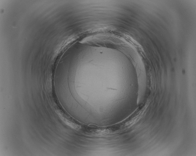 X0000076380493200610271531