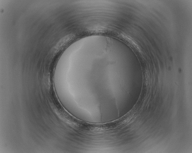 X0000076380494200610271531