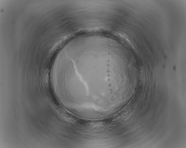 X0000076380495200610271531