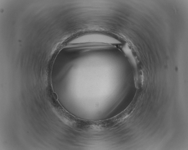 X0000076380496200610271531