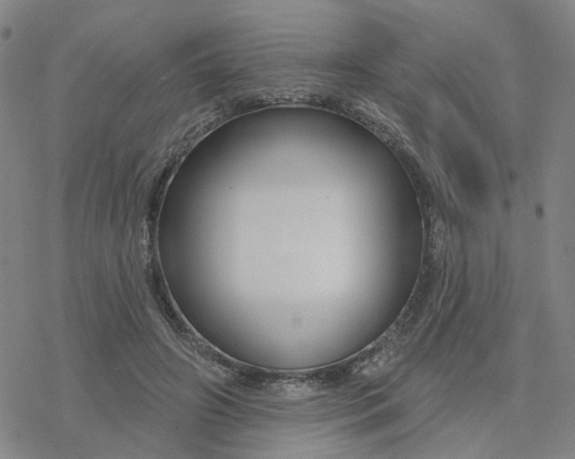 X0000076380498200610271531