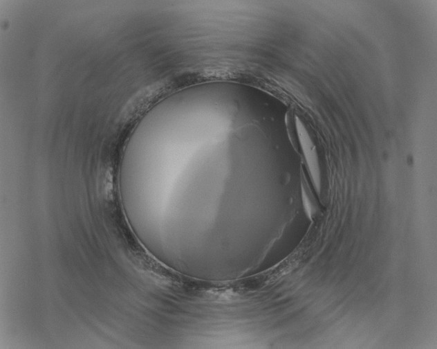 X0000076380502200610271531