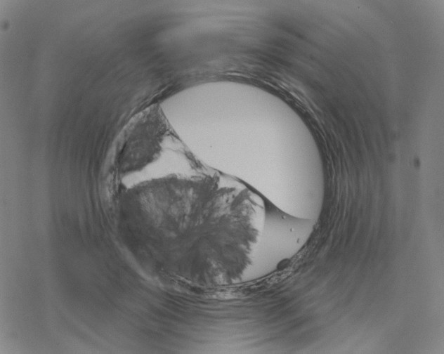 X0000076380503200610271531