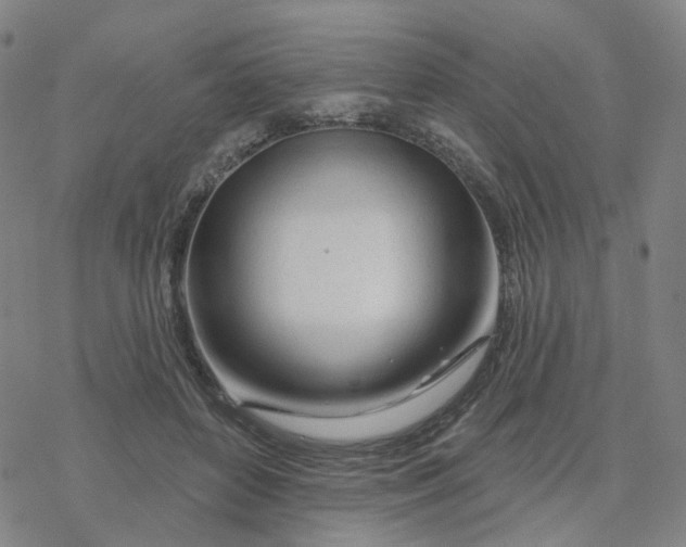 X0000076380504200610271531