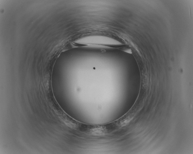 X0000076380505200610271531