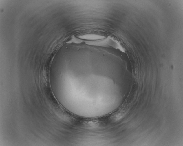 X0000076380506200610271531