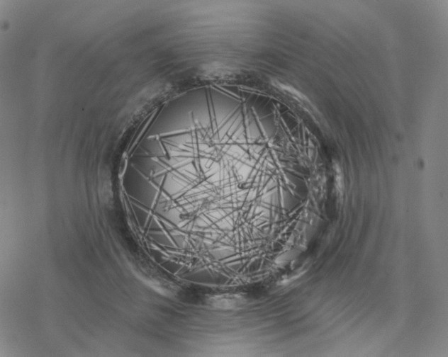 X0000076380508200610271531