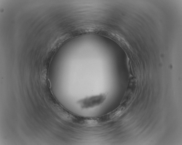 X0000076380509200610271531