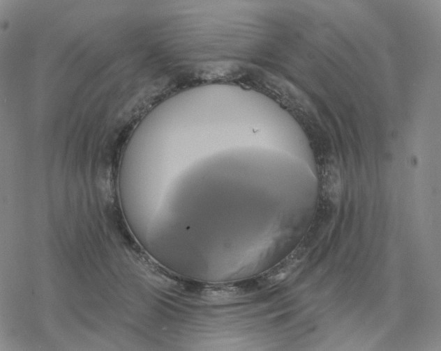 X0000076380510200610271531