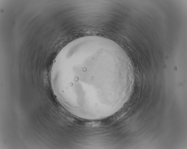 X0000076380511200610271531