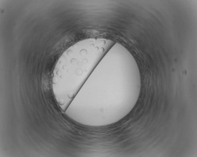 X0000076380515200610271531