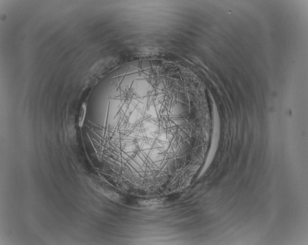 X0000076380516200610271531