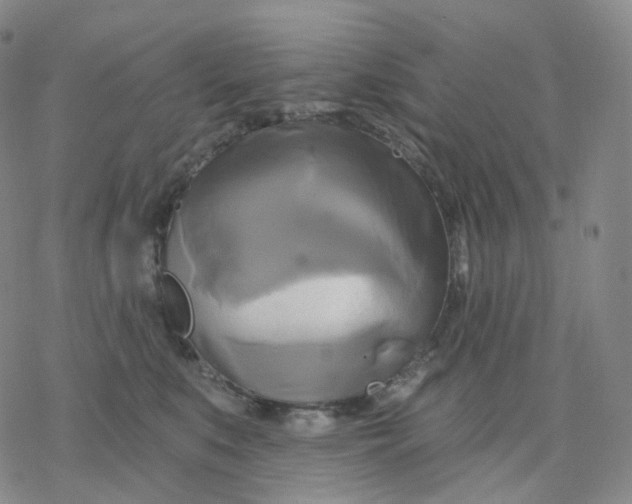 X0000076380519200610271531