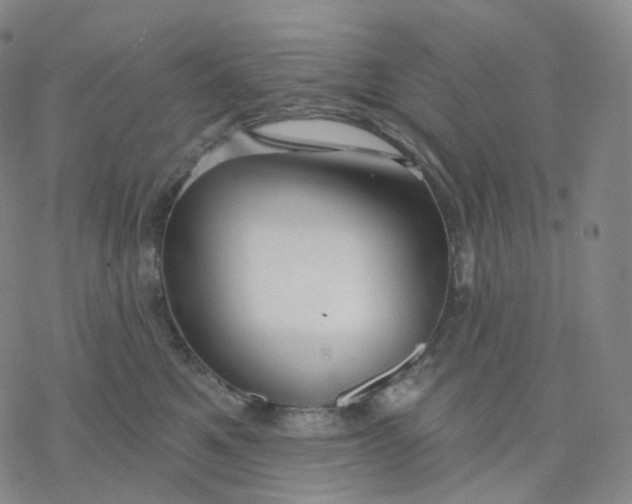 X0000076380521200610271531