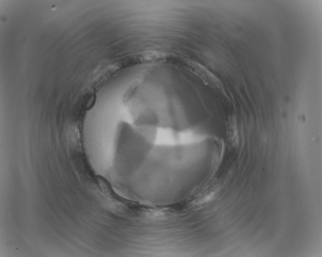 X0000076380523200610271531