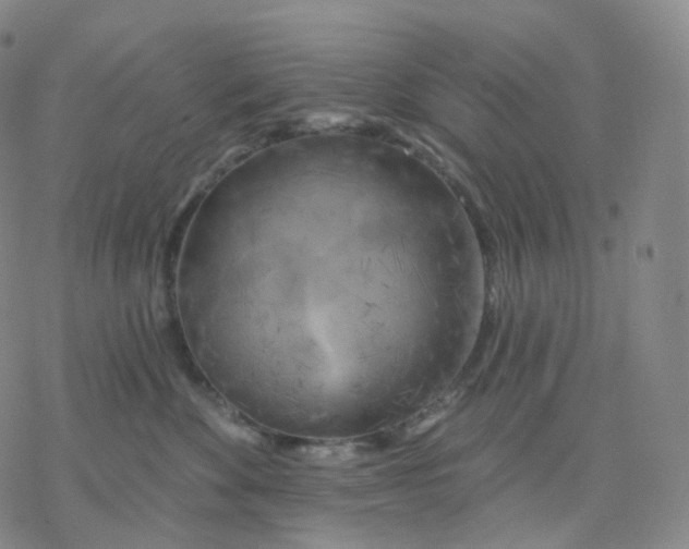 X0000076380524200610271531