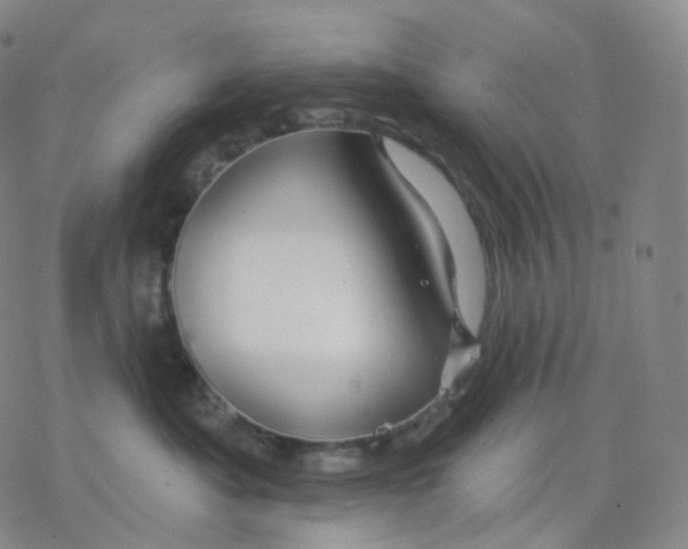 X0000076380525200610271531