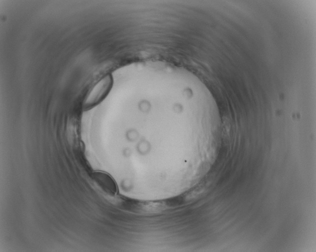 X0000076380527200610271531