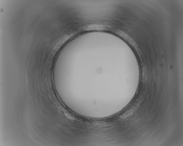 X0000076380529200610271530