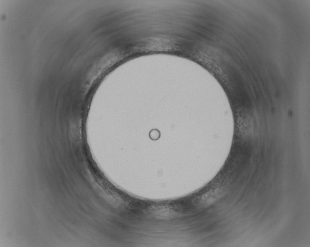 X0000076380534200610271530