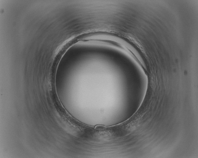 X0000076380536200610271530