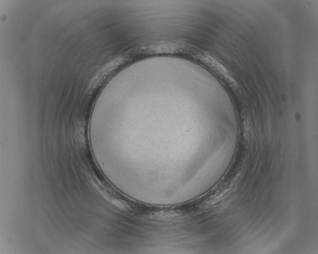 X0000076380537200610271530