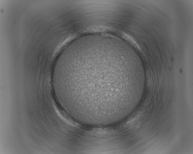 X0000076380538200610271530