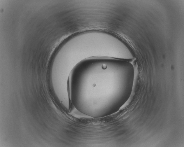 X0000076380540200610271530