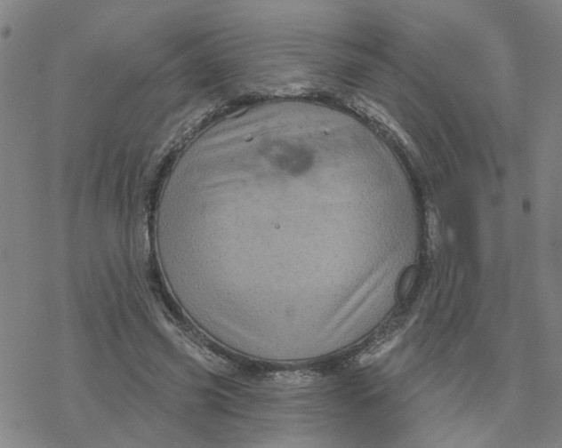 X0000076380541200610271530